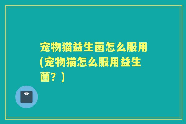 宠物猫益生菌怎么服用(宠物猫怎么服用益生菌?) 宠物猫益生菌怎么服用(宠物猫怎么服用益生菌?)