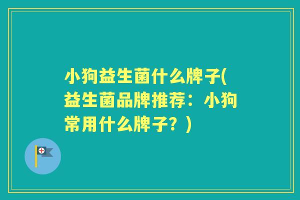 小狗益生菌什么牌子(益生菌品牌推荐:小狗常用什么牌子?) 小狗益生菌什么牌子(益生菌品牌推荐:小狗常用什么牌子?)