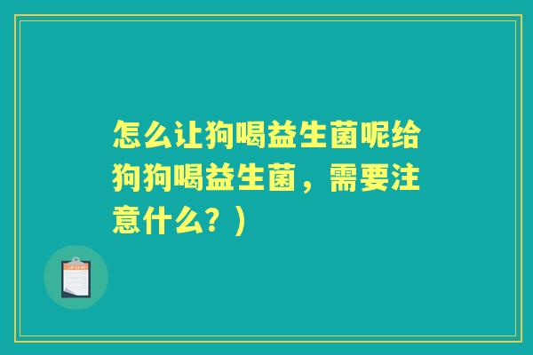 怎么让狗喝益生菌呢给狗狗喝益生菌,需要注意什么?) 怎么让狗喝益生菌呢给狗狗喝益生菌,需要注意什么?)
