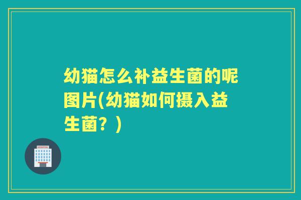 幼猫怎么补益生菌的呢图片(幼猫如何摄入益生菌?) 幼猫怎么补益生菌的呢图片(幼猫如何摄入益生菌?)