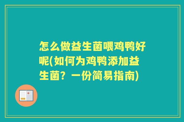 怎么做益生菌喂鸡鸭好呢(如何为鸡鸭添加益生菌？一份简易指南)