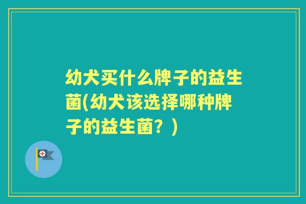 幼犬买什么牌子的益生菌(幼犬该选择哪种牌子的益生菌?) 幼犬买什么牌子的益生菌(幼犬该选择哪种牌子的益生菌?)