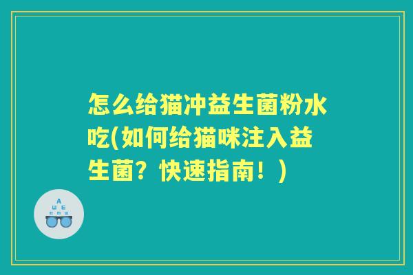 怎么给猫冲益生菌粉水吃(如何给猫咪注入益生菌？快速指南！)