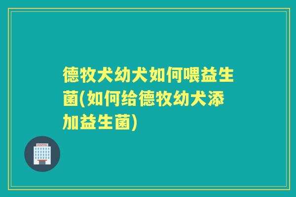 德牧犬幼犬如何喂益生菌(如何给德牧幼犬添加益生菌)