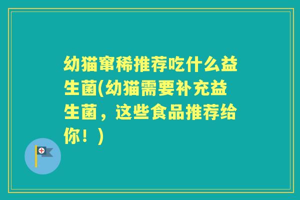 幼猫窜稀推荐吃什么益生菌(幼猫需要补充益生菌,这些食品推荐给你!) 幼猫窜稀推荐吃什么益生菌(幼猫需要补充益生菌,这些食品推荐给你!)
