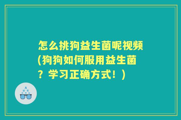 怎么挑狗益生菌呢视频(狗狗如何服用益生菌?学习正确方式!) 怎么挑狗益生菌呢视频(狗狗如何服用益生菌?学习正确方式!)