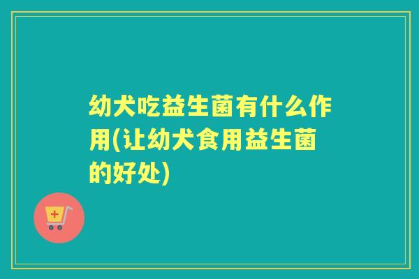 幼犬吃益生菌有什么作用(让幼犬食用益生菌的好处) 幼犬吃益生菌有什么作用(让幼犬食用益生菌的好处)