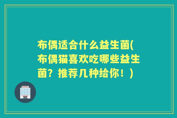 布偶适合什么益生菌(布偶猫喜欢吃哪些益生菌？推荐几种给你！)