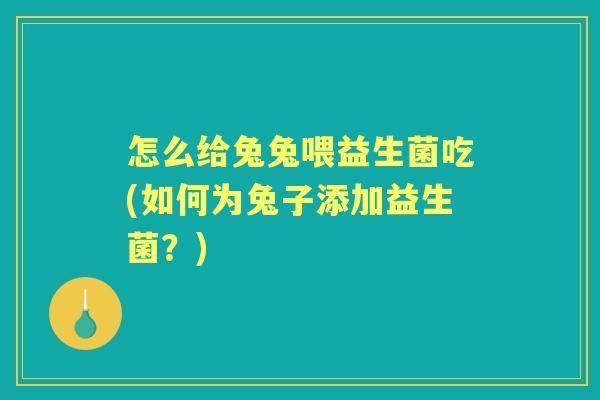 怎么给兔兔喂益生菌吃(如何为兔子添加益生菌?) 怎么给兔兔喂益生菌吃(如何为兔子添加益生菌?)