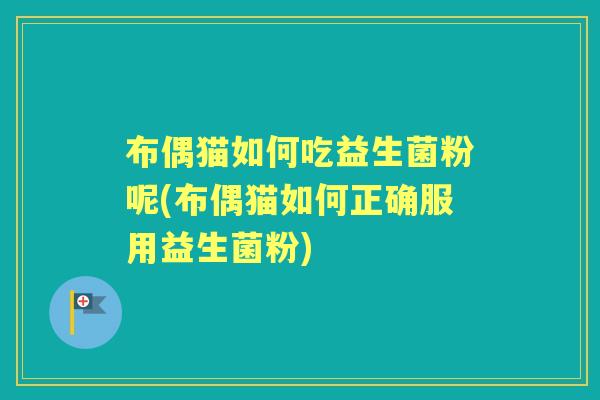 布偶猫如何吃益生菌粉呢(布偶猫如何正确服用益生菌粉)
