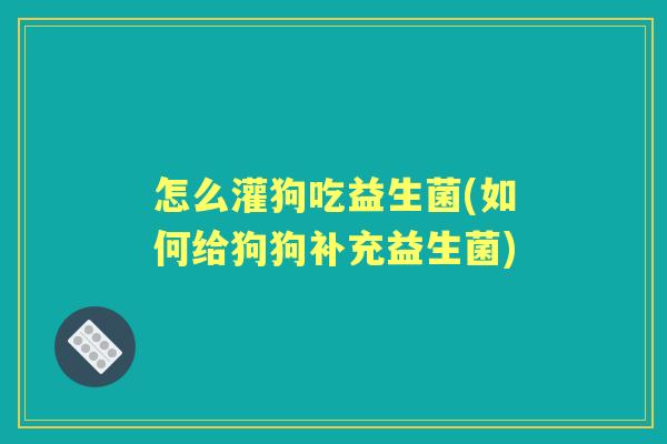 怎么灌狗吃益生菌(如何给狗狗补充益生菌)