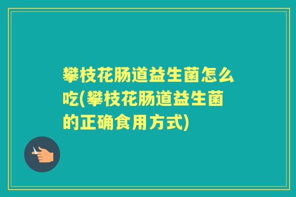 攀枝花肠道益生菌怎么吃(攀枝花肠道益生菌的正确食用方式) 攀枝花肠道益生菌怎么吃(攀枝花肠道益生菌的正确食用方式)