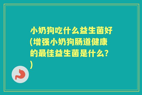 小奶狗吃什么益生菌好(增强小奶狗肠道健康的佳益生菌是什么?) 小奶狗吃什么益生菌好(增强小奶狗肠道健康的佳益生菌是什么?)