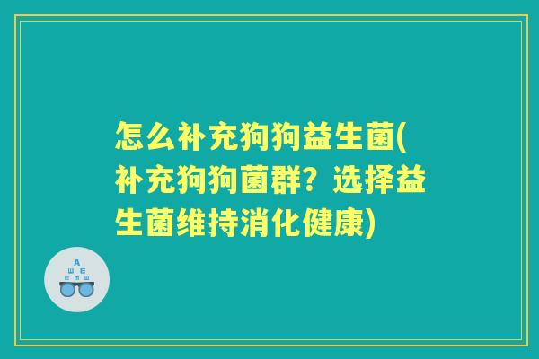 怎么补充狗狗益生菌(补充狗狗菌群？选择益生菌维持消化健康)
