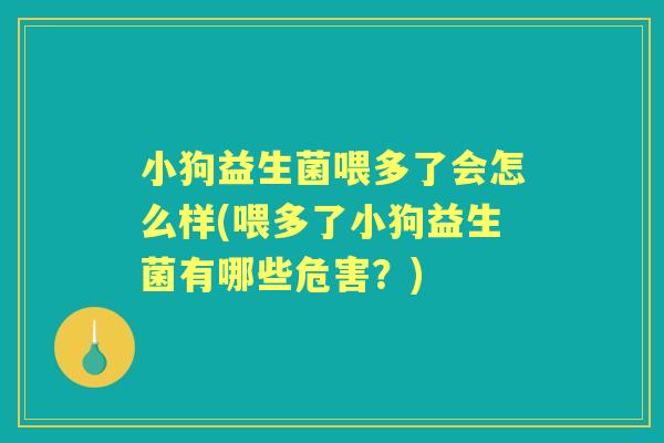 小狗益生菌喂多了会怎么样(喂多了小狗益生菌有哪些危害?) 小狗益生菌喂多了会怎么样(喂多了小狗益生菌有哪些危害?)