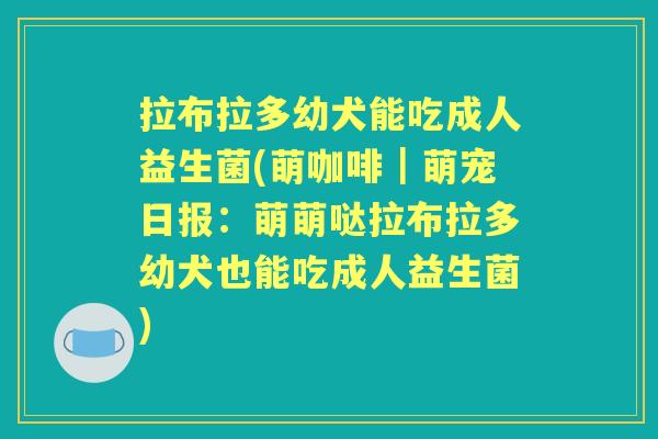 拉布拉多幼犬能吃成人益生菌(萌咖啡|萌宠日报:萌萌哒拉布拉多幼犬也能吃成人益生菌) 拉布拉多幼犬能吃成人益生菌(萌咖啡|萌宠日报:萌萌哒拉布拉多幼犬也能吃成人益生菌)