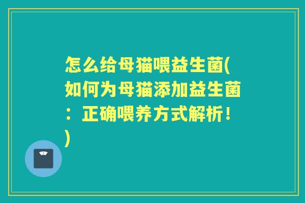 怎么给母猫喂益生菌(如何为母猫添加益生菌:正确喂养方式解析!) 怎么给母猫喂益生菌(如何为母猫添加益生菌:正确喂养方式解析!)
