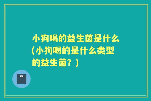 小狗喝的益生菌是什么(小狗喝的是什么类型的益生菌?) 小狗喝的益生菌是什么(小狗喝的是什么类型的益生菌?)