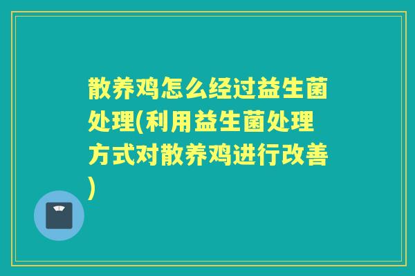 散养鸡怎么经过益生菌处理(利用益生菌处理方式对散养鸡进行改善) 散养鸡怎么经过益生菌处理(利用益生菌处理方式对散养鸡进行改善)