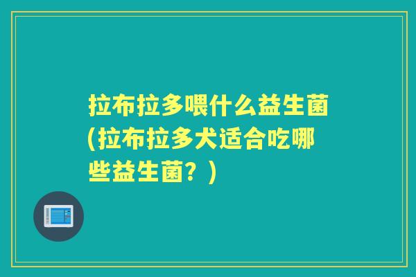 拉布拉多喂什么益生菌(拉布拉多犬适合吃哪些益生菌?) 拉布拉多喂什么益生菌(拉布拉多犬适合吃哪些益生菌?)