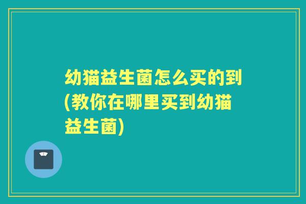 幼猫益生菌怎么买的到(教你在哪里买到幼猫益生菌)