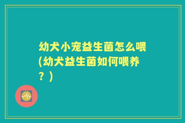 幼犬小宠益生菌怎么喂(幼犬益生菌如何喂养?) 幼犬小宠益生菌怎么喂(幼犬益生菌如何喂养?)