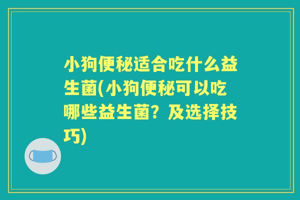 小狗适合吃什么益生菌(小狗可以吃哪些益生菌？及选择技巧)