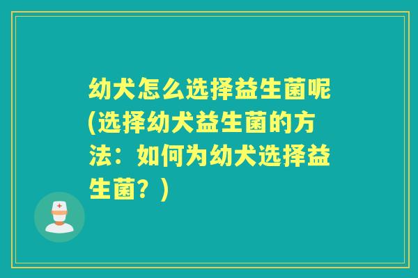 幼犬怎么选择益生菌呢(选择幼犬益生菌的方法:如何为幼犬选择益生菌?) 幼犬怎么选择益生菌呢(选择幼犬益生菌的方法:如何为幼犬选择益生菌?)