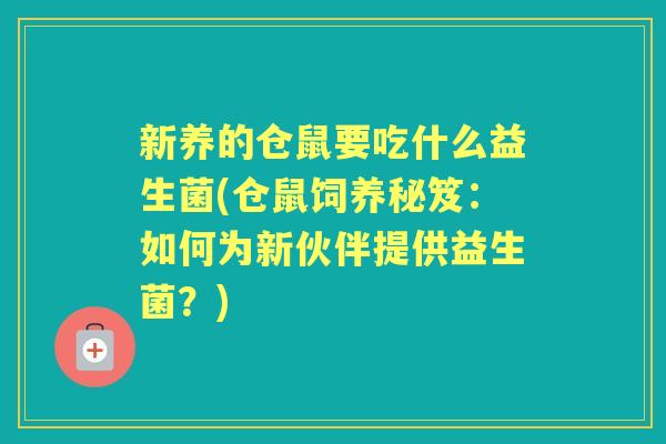 新养的仓鼠要吃什么益生菌(仓鼠饲养秘笈：如何为新伙伴提供益生菌？)