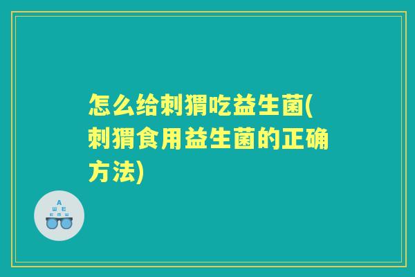 怎么给刺猬吃益生菌(刺猬食用益生菌的正确方法) 怎么给刺猬吃益生菌(刺猬食用益生菌的正确方法)