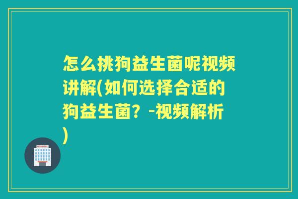 怎么挑狗益生菌呢视频讲解(如何选择合适的狗益生菌?-视频解析) 怎么挑狗益生菌呢视频讲解(如何选择合适的狗益生菌?-视频解析)