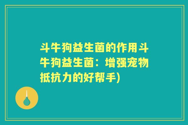 斗牛狗益生菌的作用斗牛狗益生菌：增强宠物的好帮手)