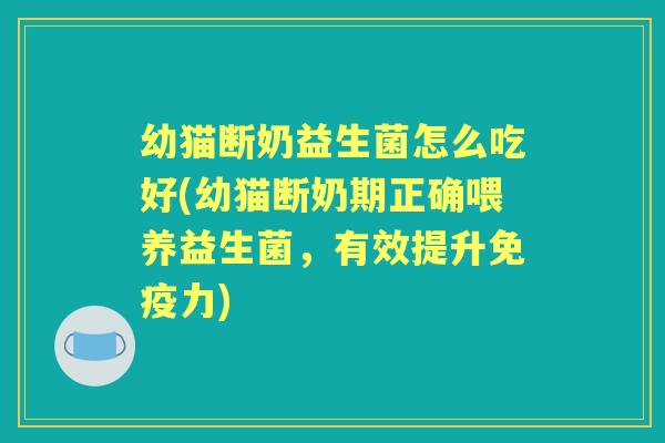 幼猫断奶益生菌怎么吃好(幼猫断奶期正确喂养益生菌，有效提升力)