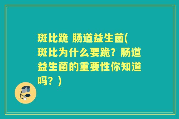 斑比跪 肠道益生菌(斑比为什么要跪？肠道益生菌的重要性你知道吗？)