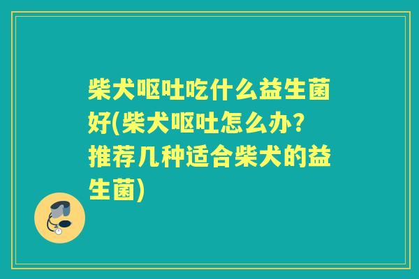 柴犬吃什么益生菌好(柴犬怎么办?推荐几种适合柴犬的益生菌) 柴犬吃什么益生菌好(柴犬怎么办?推荐几种适合柴犬的益生菌)