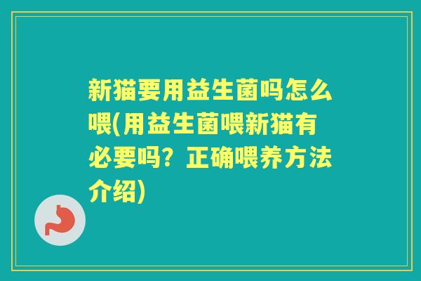 新猫要用益生菌吗怎么喂(用益生菌喂新猫有必要吗?正确喂养方法介绍) 新猫要用益生菌吗怎么喂(用益生菌喂新猫有必要吗?正确喂养方法介绍)