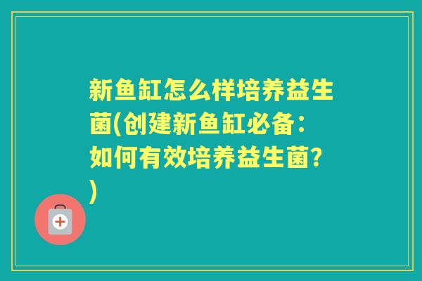 新鱼缸怎么样培养益生菌(创建新鱼缸必备:如何有效培养益生菌?) 新鱼缸怎么样培养益生菌(创建新鱼缸必备:如何有效培养益生菌?)