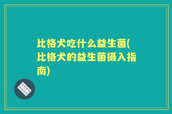 比格犬吃什么益生菌(比格犬的益生菌摄入指南) 比格犬吃什么益生菌(比格犬的益生菌摄入指南)