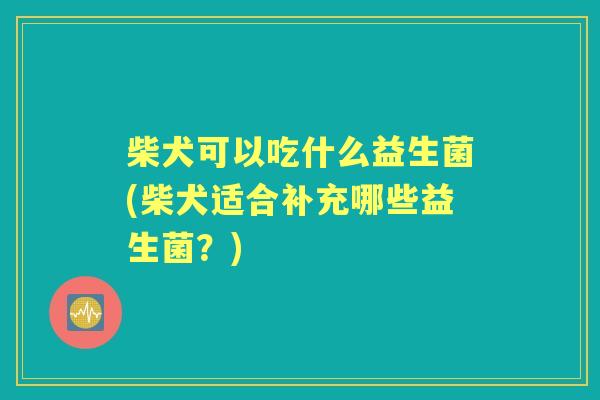 柴犬可以吃什么益生菌(柴犬适合补充哪些益生菌?) 柴犬可以吃什么益生菌(柴犬适合补充哪些益生菌?)