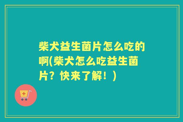 柴犬益生菌片怎么吃的啊(柴犬怎么吃益生菌片?快来了解!) 柴犬益生菌片怎么吃的啊(柴犬怎么吃益生菌片?快来了解!)