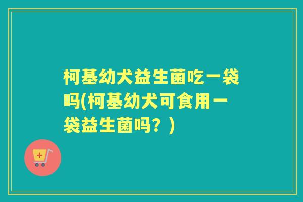 柯基幼犬益生菌吃一袋吗(柯基幼犬可食用一袋益生菌吗？)