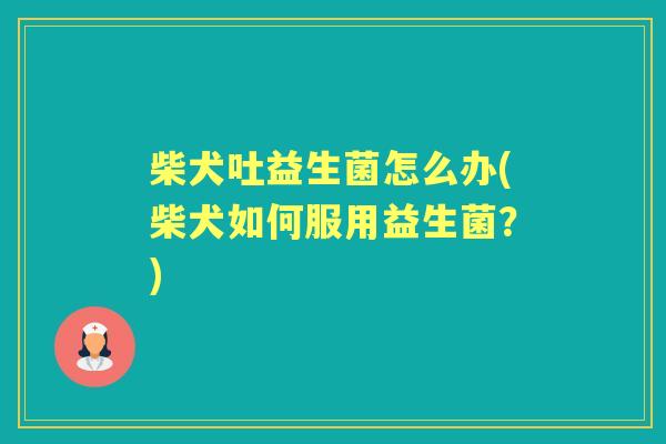 柴犬吐益生菌怎么办(柴犬如何服用益生菌?) 柴犬吐益生菌怎么办(柴犬如何服用益生菌?)