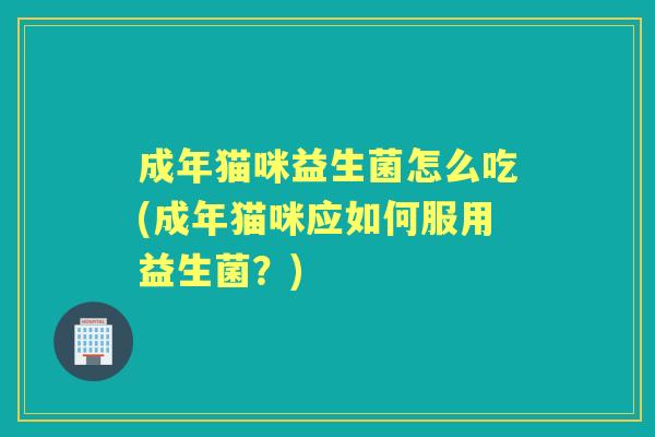 成年猫咪益生菌怎么吃(成年猫咪应如何服用益生菌?) 成年猫咪益生菌怎么吃(成年猫咪应如何服用益生菌?)