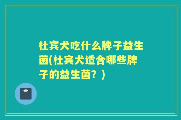 杜宾犬吃什么牌子益生菌(杜宾犬适合哪些牌子的益生菌?) 杜宾犬吃什么牌子益生菌(杜宾犬适合哪些牌子的益生菌?)