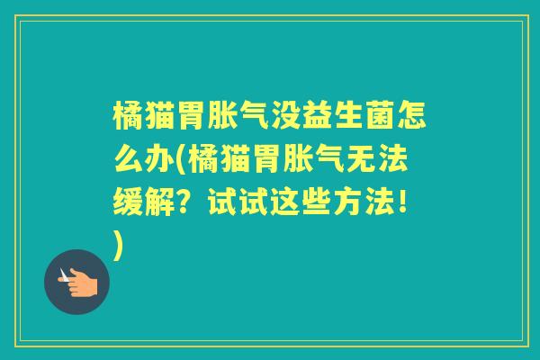 橘猫胃没益生菌怎么办(橘猫胃无法缓解?试试这些方法!) 橘猫胃没益生菌怎么办(橘猫胃无法缓解?试试这些方法!)