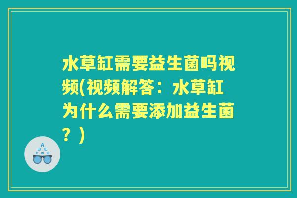 水草缸需要益生菌吗视频(视频解答:水草缸为什么需要添加益生菌?) 水草缸需要益生菌吗视频(视频解答:水草缸为什么需要添加益生菌?)