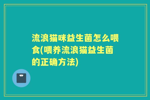 流浪猫咪益生菌怎么喂食(喂养流浪猫益生菌的正确方法) 流浪猫咪益生菌怎么喂食(喂养流浪猫益生菌的正确方法)