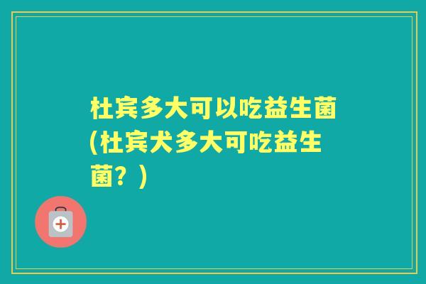 杜宾多大可以吃益生菌(杜宾犬多大可吃益生菌?) 杜宾多大可以吃益生菌(杜宾犬多大可吃益生菌?)
