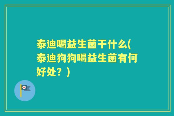 泰迪喝益生菌干什么(泰迪狗狗喝益生菌有何好处?) 泰迪喝益生菌干什么(泰迪狗狗喝益生菌有何好处?)