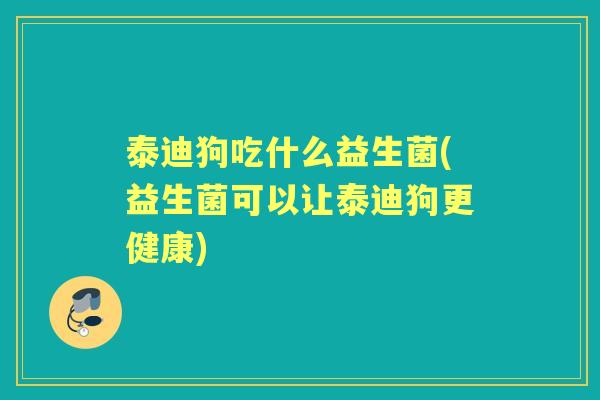 泰迪狗吃什么益生菌(益生菌可以让泰迪狗更健康)
